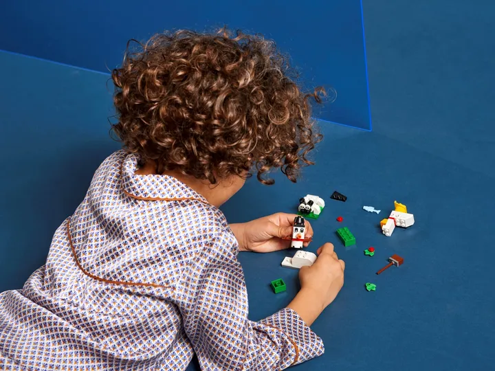 LEGO Classic 11012 Kreativ-Bauset mit weißen Steinen Bild 6