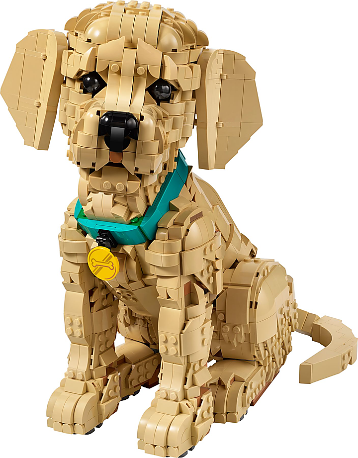 LEGO® 11384
