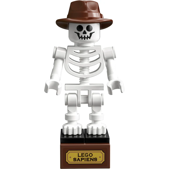 LEGO Ideas 21320 Dinosaurier-Fossilien Bild 2