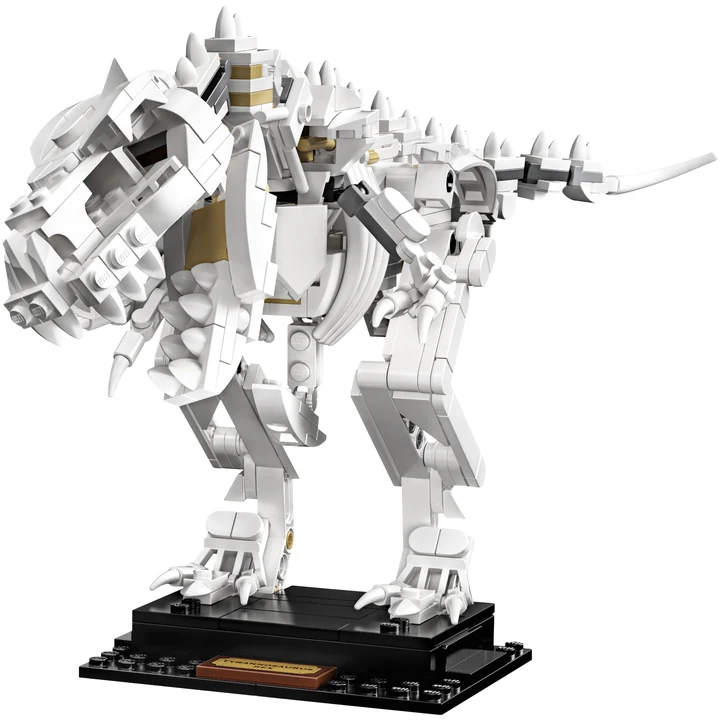 LEGO Ideas 21320 Dinosaurier-Fossilien Bild 4