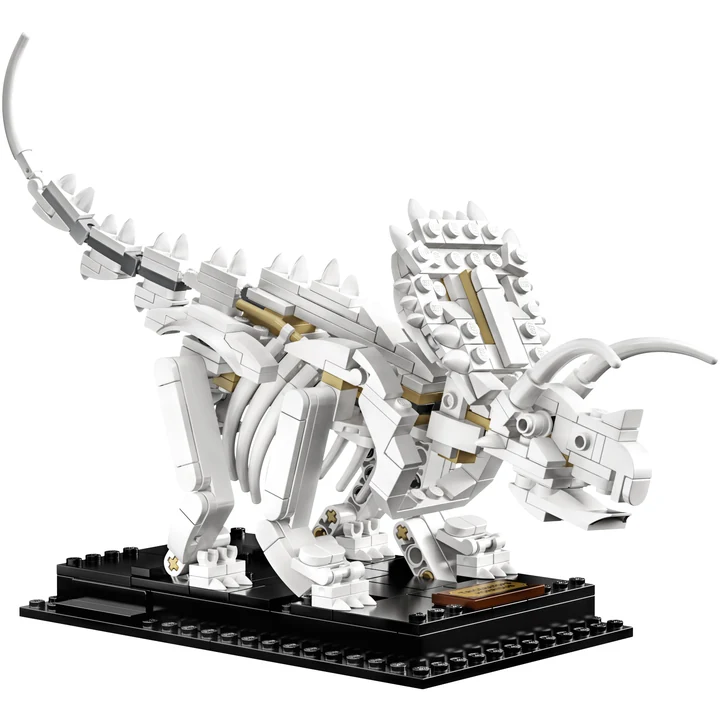 LEGO Ideas 21320 Dinosaurier-Fossilien Bild 5