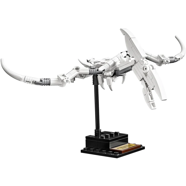 LEGO Ideas 21320 Dinosaurier-Fossilien Bild 6