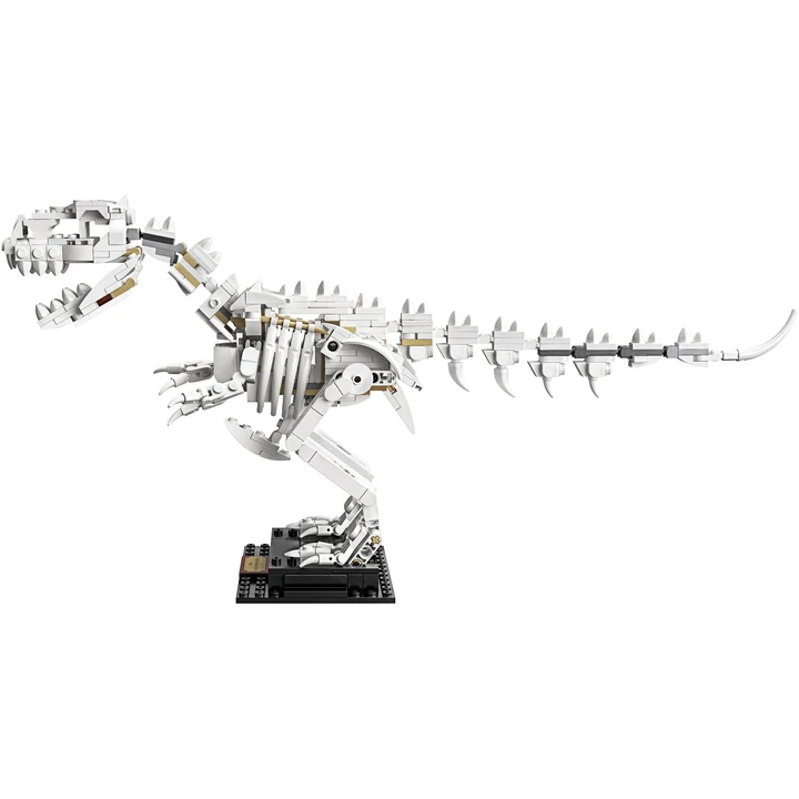 LEGO Ideas 21320 Dinosaurier-Fossilien Bild 9