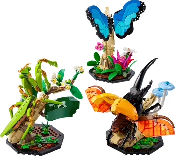 LEGO ideas 21342 Die Insektensammlung
