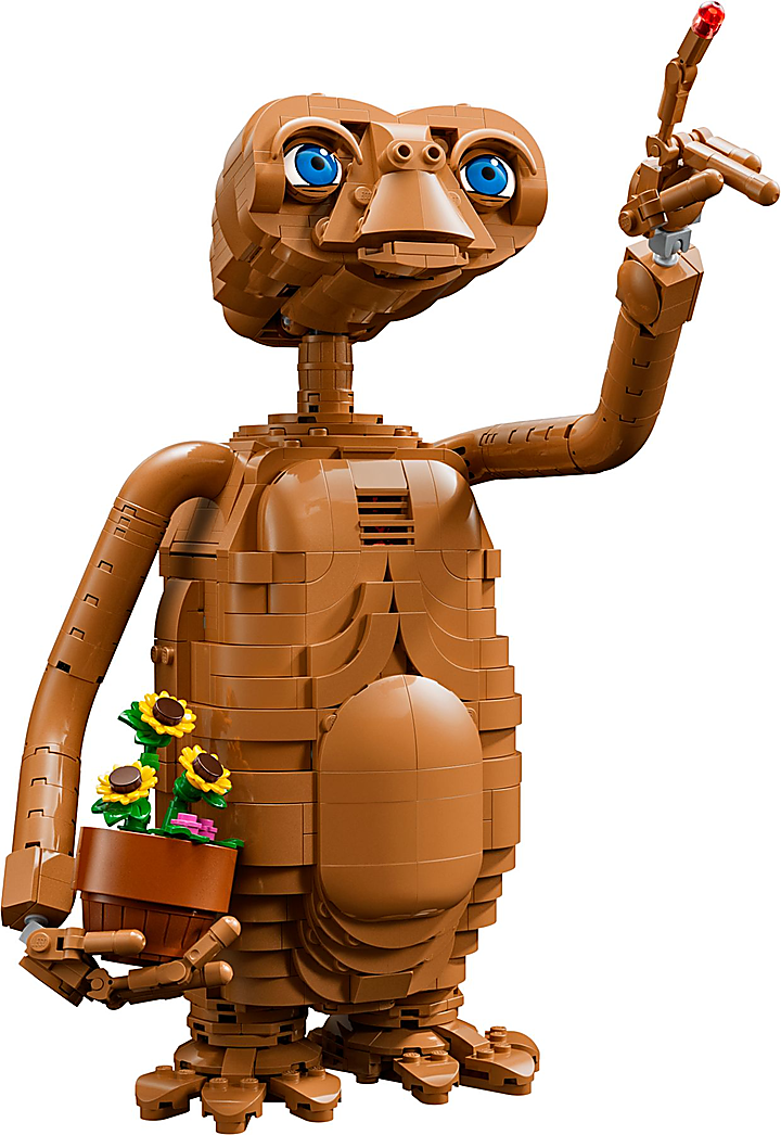 LEGO® 21370