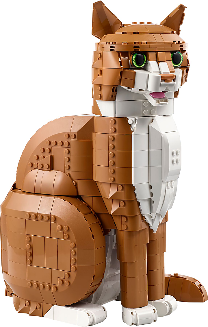 LEGO® 21376