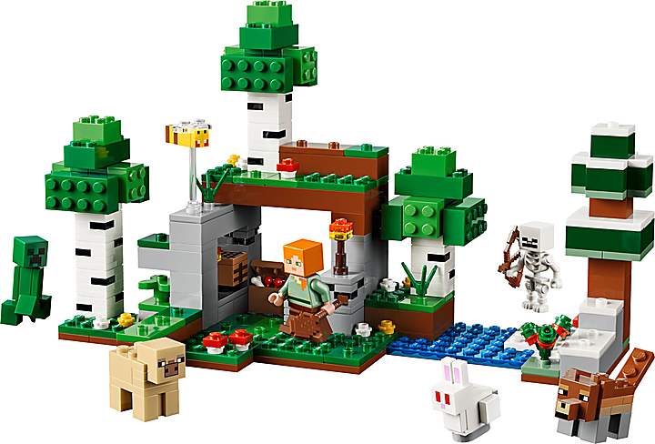 LEGO® 21593