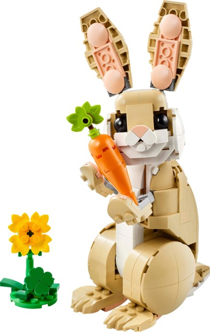 LEGO® 31162
