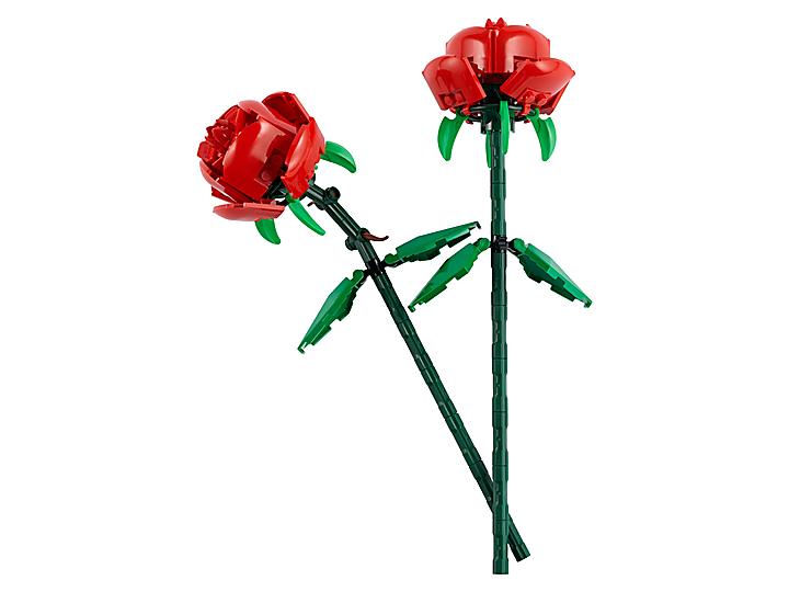 LEGO® 40460