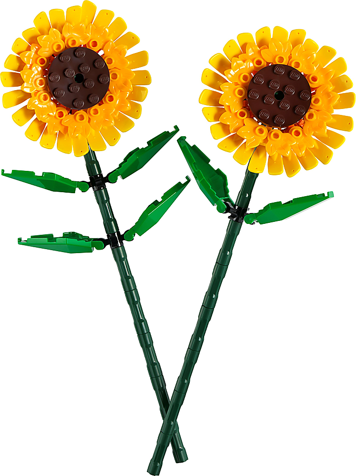 LEGO® 40524