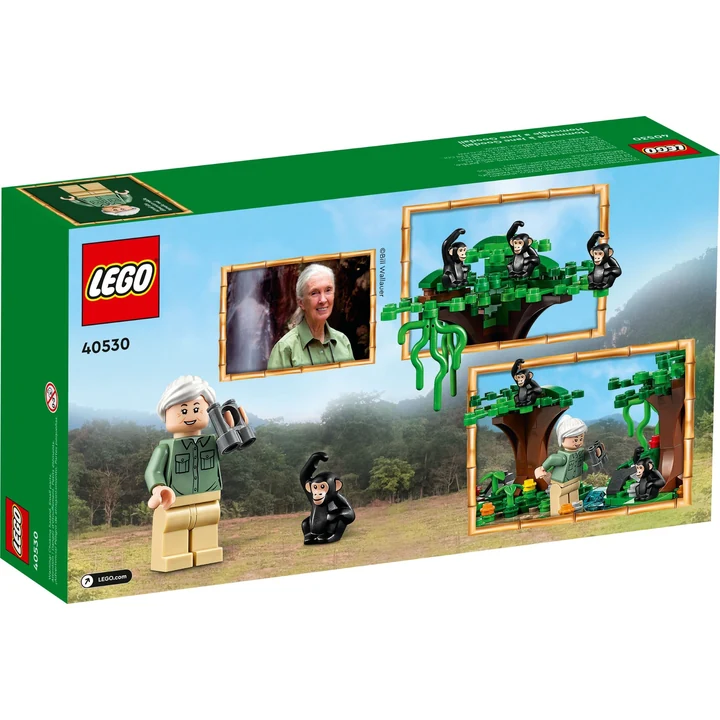 LEGO Verschiedenes 40530 Hommage an Jane Goodall Bild 3