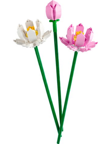 LEGO® 40647