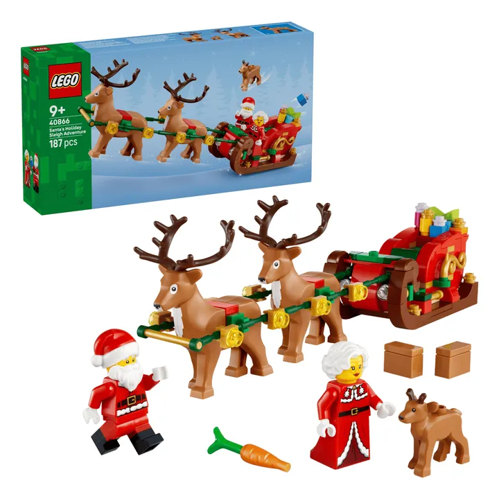LEGO Sonstiges 40866 Abenteuerliche Schlittenfahrt des Weihnachtsmanns Bild 2