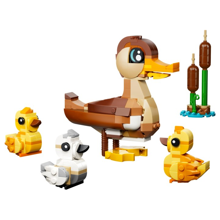 LEGO® 40885