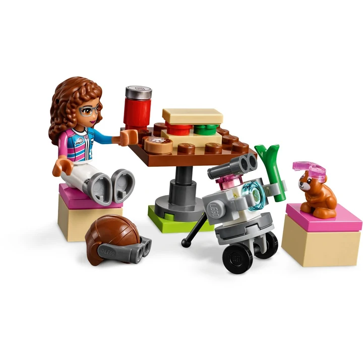 LEGO Friends 41343 Rundflug über Heartlake City Bild 5