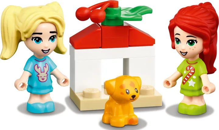 LEGO Friends 41690 LEGO Friends Adventskalender Bild 5