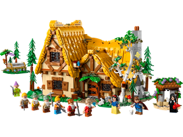 LEGO® 43242
