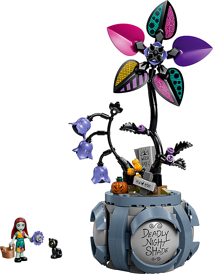 LEGO® 43288