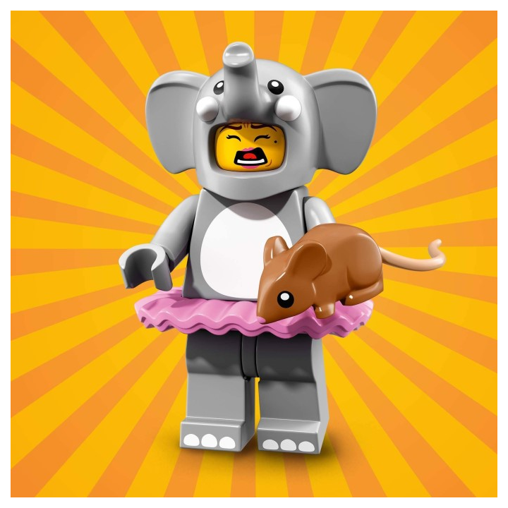 LEGO® 71021