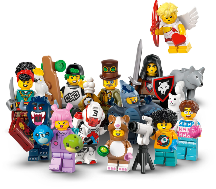LEGO® 71048