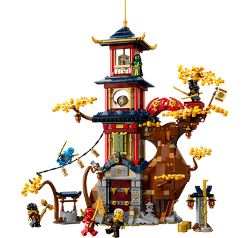 LEGO® 71795
