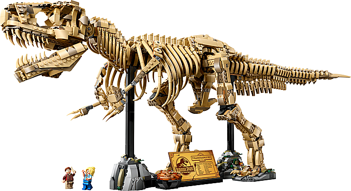 LEGO® 76968