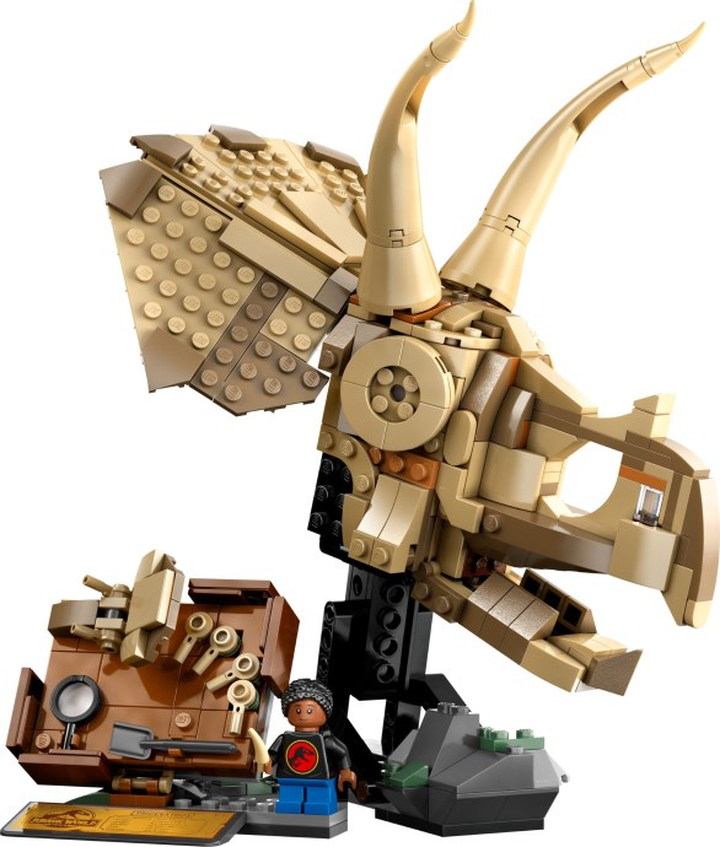 LEGO® 76969